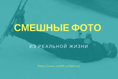 Фотка Смешные жизни: Фотоснимки, от которых трудно оторваться