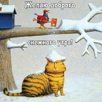 Смешные зимние картинки, чтобы улыбнуться на утро!