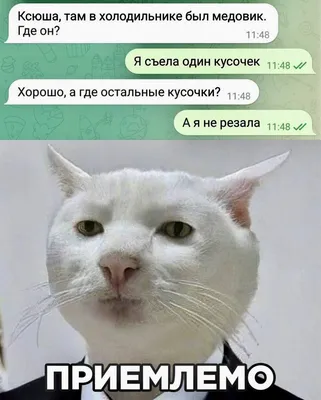 Фотографии, которые вызовут смех