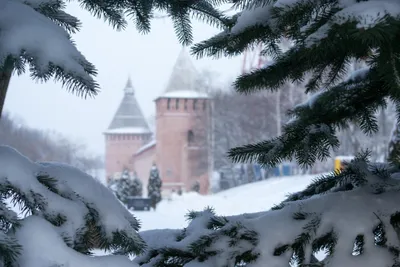 Зимний этюд: Красоты Смоленска на льду и снегу