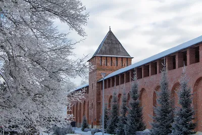 Белый край: Зимний Смоленск в стиле фото, картинка, изображение