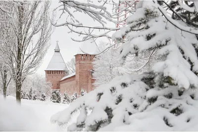 Зимний взгляд: Красивые уголки Смоленска на фото