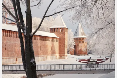 Снежные краски: Фотографии зимнего Смоленска на выбор