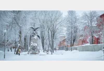 Смоленск засыпан снегом: Фотогалерея зимних зарисовок