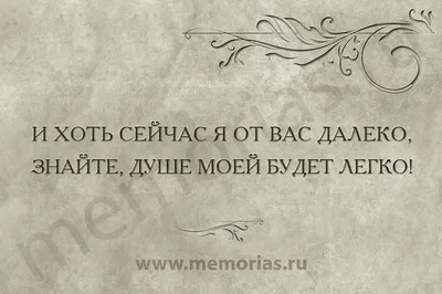 Картинки с надписями: выберите размер изображения и формат для скачивания (JPG, WebP)