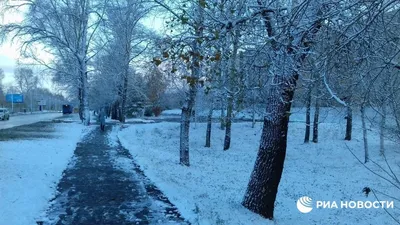 Фотографии снега на мак: красивые обои