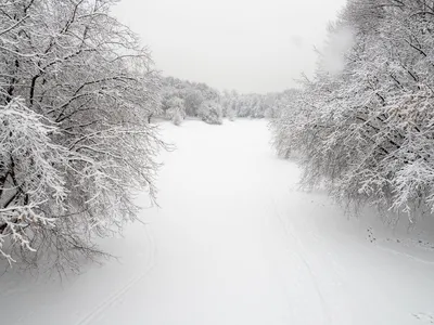 Новое изображение: Снежные зарисовки в Full HD