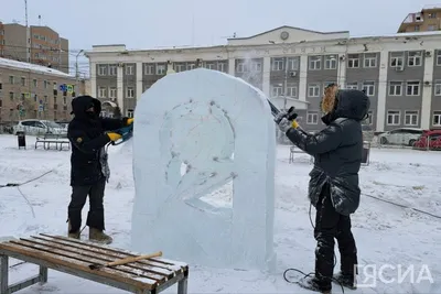 Ледяные узоры природы: Фотовпечатления с городских улиц