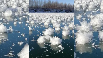 Магия зимнего света: Фотографии снега в городском мерцании