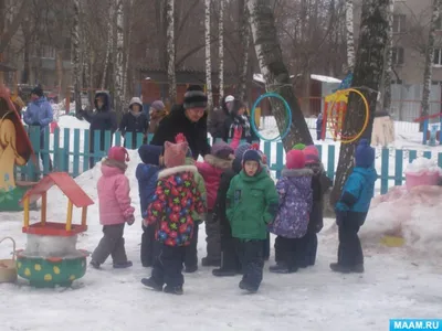 2024 год в зимних фотографиях: встречайте новый год с природой