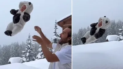 Зимний пейзаж: фотографии снежных деревьев.