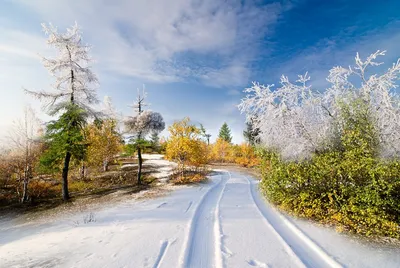 Снежные пейзажи лета: бесплатные фото для скачивания