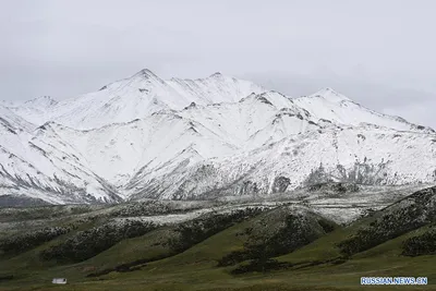 Летние зарисовки под покрывалом снега: уникальные фотографии пейзажей