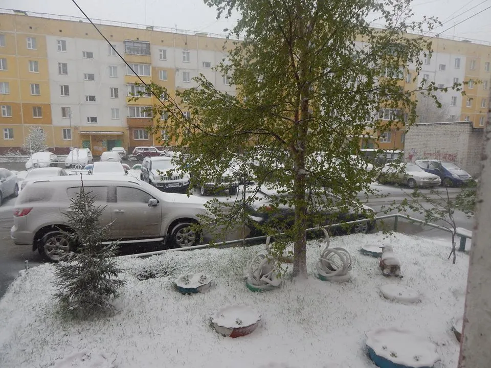 Россия выпал снег. Сургут снег летом. Снег летом. Снегопад в Москве. Снег в июне.