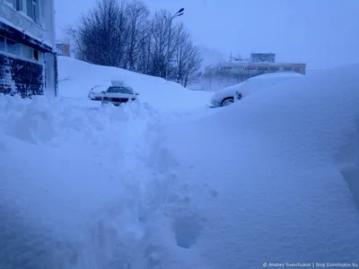 Белые просторы: Заснеженные виды полуострова