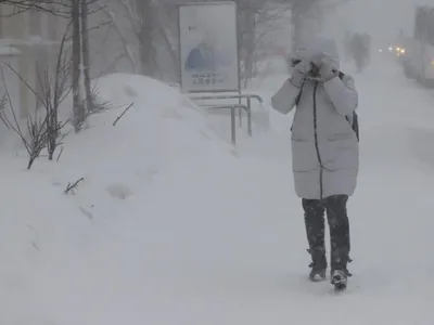 Снежные горизонты: Камчатка в зимнем наряде