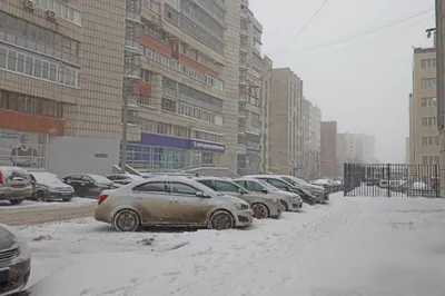 Ледяные скульптуры природы: Фотографии заснеженных форм