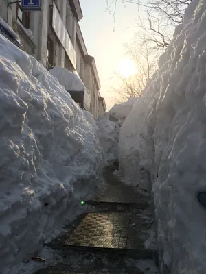 Фотоальбом снежных чудес Камчатки: Выбирайте размер и формат