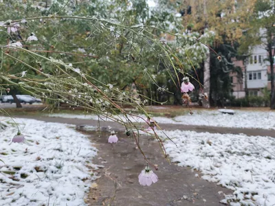 Фотография ночного снегопада в городе: обои на телефон