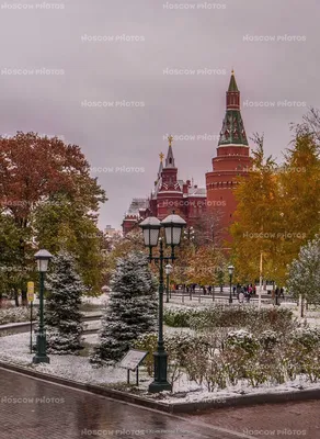 Зимние зарисовки в осеннем альбоме