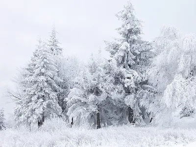 Замороженные мгновения: Фотографии снега в экстремальном приближении