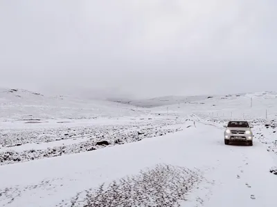 Рисунок Природы: Снег в Саванне