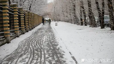 Зимний калейдоскоп: Фото снега в хорошем качестве на ваш выбор