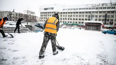 Свежесть зимы: Новые изображения снега для вашего выбора