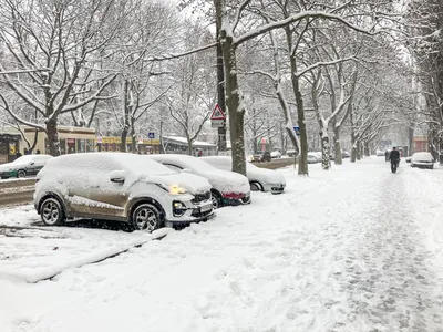 Снегопад в городе: Фотографии с первого снега