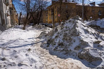 Снежные краски: Зимние фото в ярких тонах