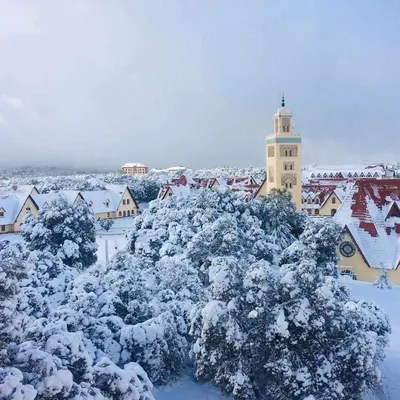 Снег в городе: фото на андроид