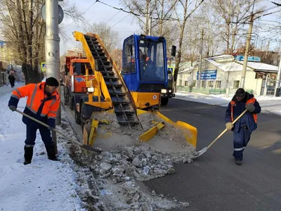 Зимний этюд: увлекательные моменты сегодняшнего снегопада