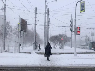 Зимняя симфония: впечатляющие фото заснеженного города