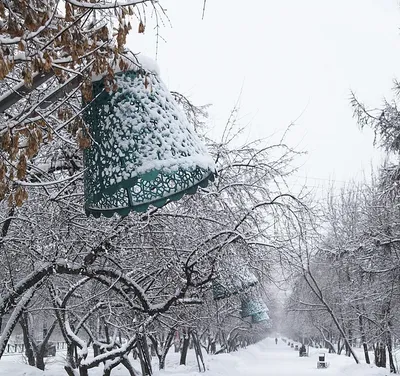 Фотогалерея: снеговые украшения Иркутска