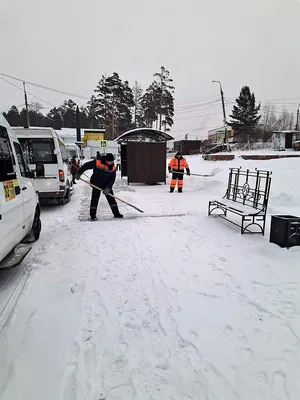 Рисунок природы: Белоснежные деревья и замерзшие водоемы