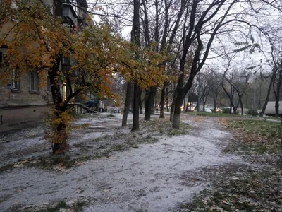 Зимний стихийный калейдоскоп: Киев в объективе фотографа