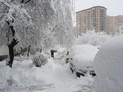 Краснодар в белом: Снежные моменты на HD фото