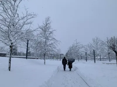 Краснодар в белом: Зимние краски города на фотографиях