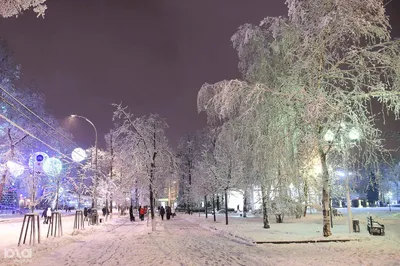 Зимний этюд: Снеговые картины на улицах города