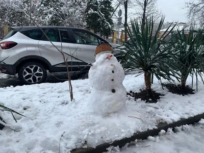 Зимний пейзаж Краснодара: фото в высоком разрешении