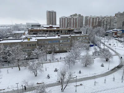 Краснодар в снежном убранстве: лучшие фотографии города