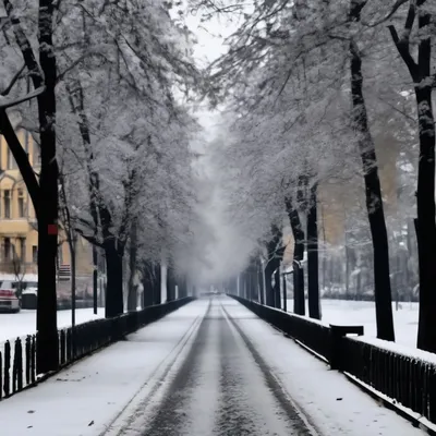 Фотки снега 2024 года