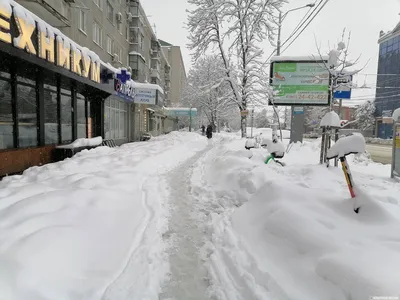 Зимний снег в Краснодаре: красочные изображения