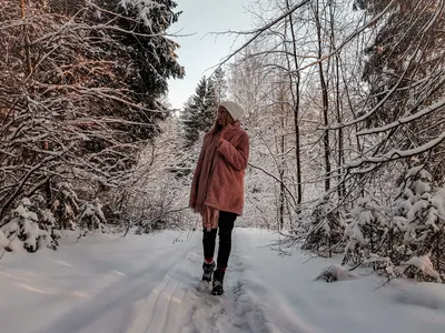 Бесплатные фотографии с лесом в зимней обстановке: скачать в хорошем качестве