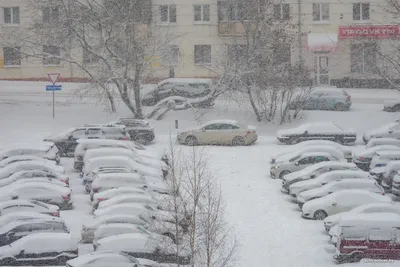 Снегопад в Минске: впечатляющие снимки для скачивания.