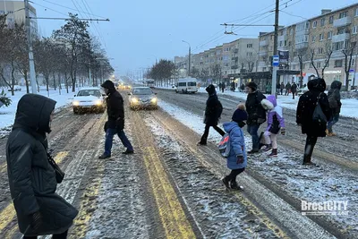 Снег в Минске: Удивительные фотографии зимней природы