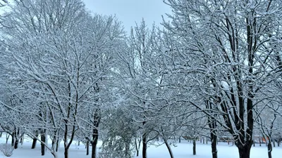 Фон снегопада: красивые изображения