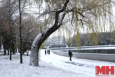 Природа в белом: красивые фото снега в Минске.