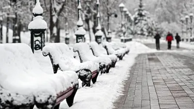 Снеговик и заснеженные деревья: Фото в формате 4K