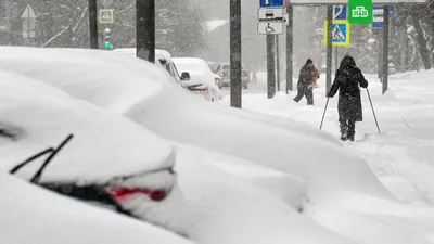 В объективе снега: впечатляющие кадры сегодняшнего дня